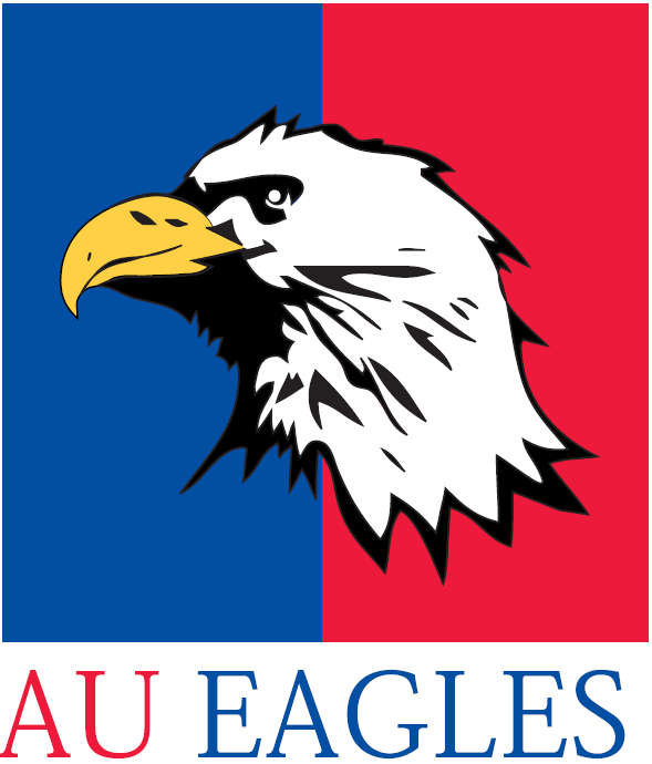 American Eagles 1985-2005 Alternate Logo iron on transfers for clothing